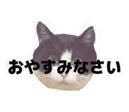 816251391