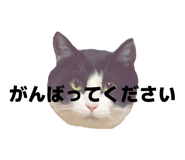 816251392