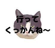 816251396