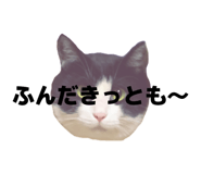 816251406