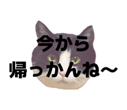 816251410