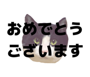 816251413