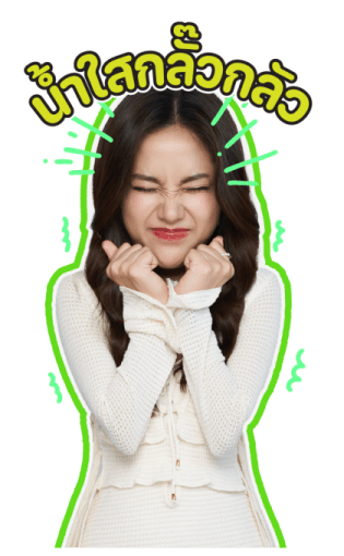 ลายที่ 33