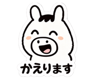 816256456