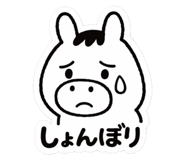 816256465