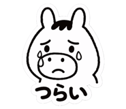 816256468