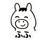 816256478