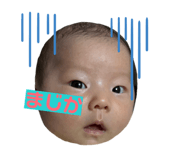 816259240