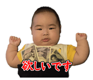 816266614