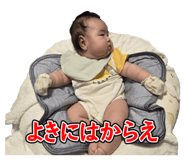 816266624