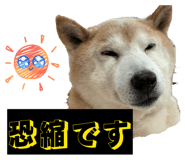 816285984
