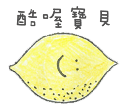8163446
