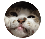 816344865