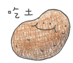 8163466