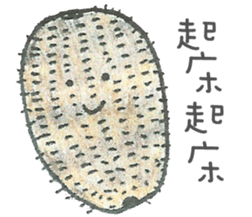 8163478