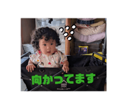 816355408
