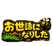 816364178