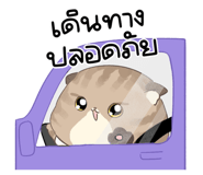 816370831