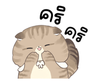 816370834