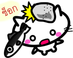 8163720