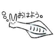 816377490