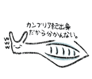 816377502