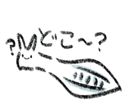 816377506