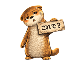816380673