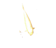 816381248