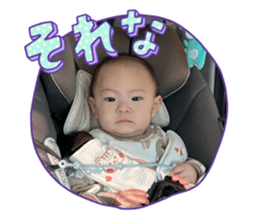 816382612