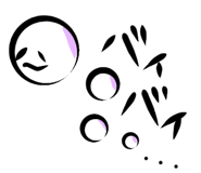 816388117