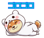 816402293