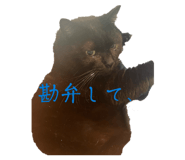816411718