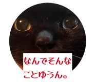 816411725