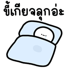 ลายที่ 13