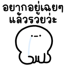 ลายที่ 33