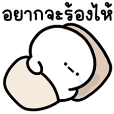 ลายที่ 37