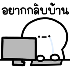 ลายที่ 43