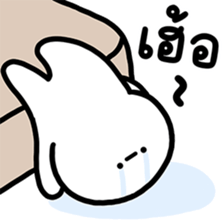 ลายที่ 79