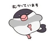 816436793