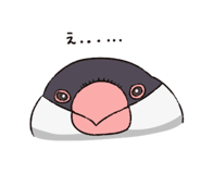 816436795