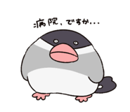 816436796