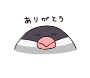 816436797
