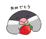 816436798