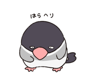 816436799