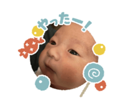 816443680