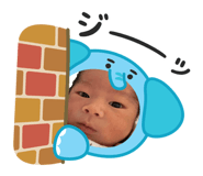 816491974