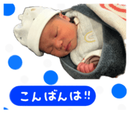 816494531