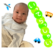 816494537