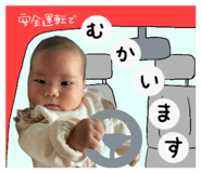 816494538
